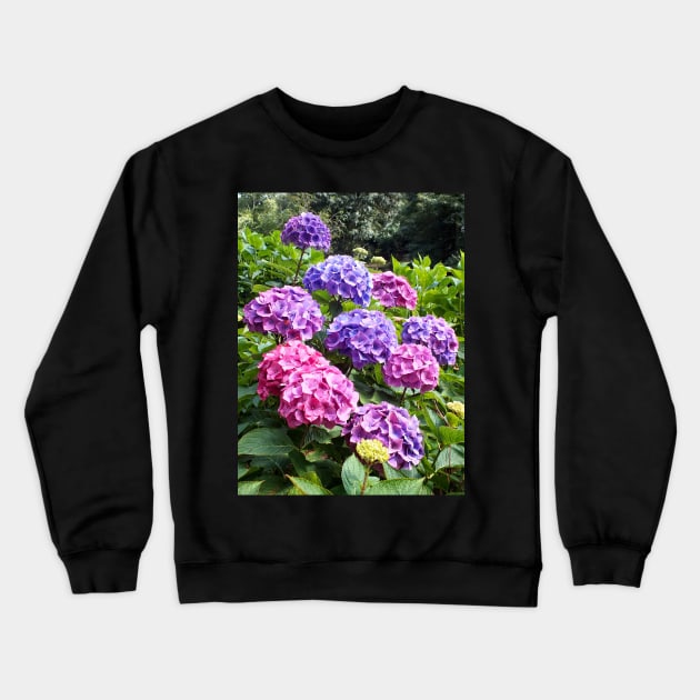 Hydrangeas at Trebah Gardens Crewneck Sweatshirt by Ludwig Wagner